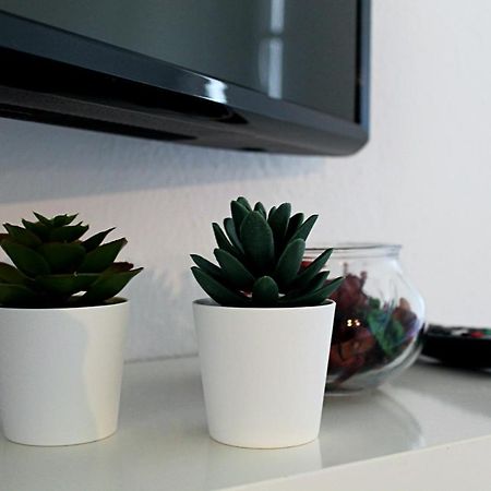 Oasis - Pedras D' El Rei T0 Apartment ซานตาลูเซีย ภายนอก รูปภาพ